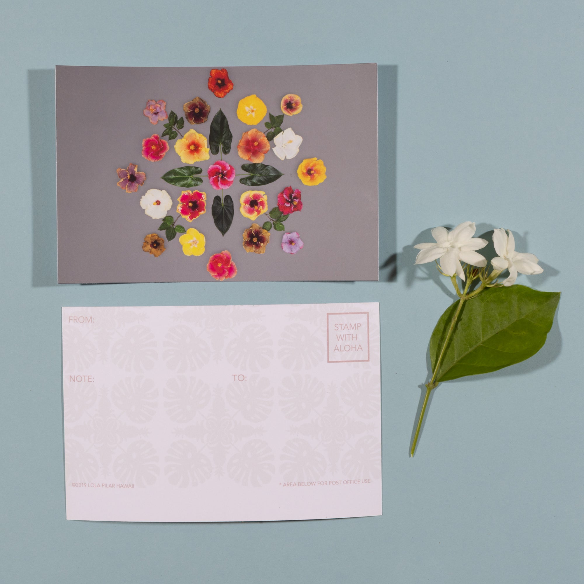 Rainbow Kiss - Single Postcard