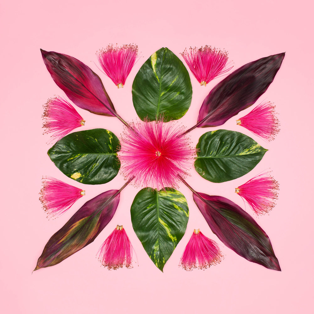 bombax flower photo with ivy and red pink ti leaf