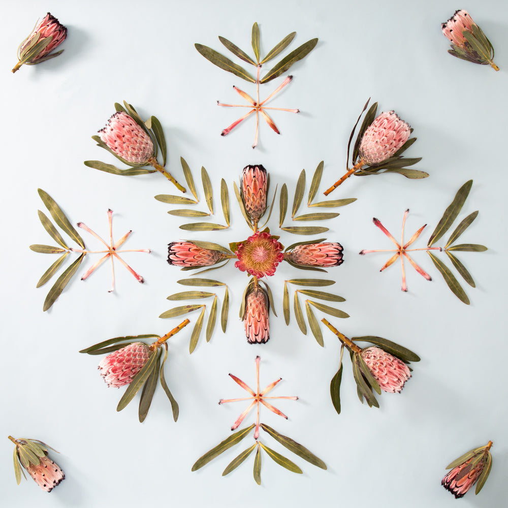protea artwork with hawaiian quilt style design