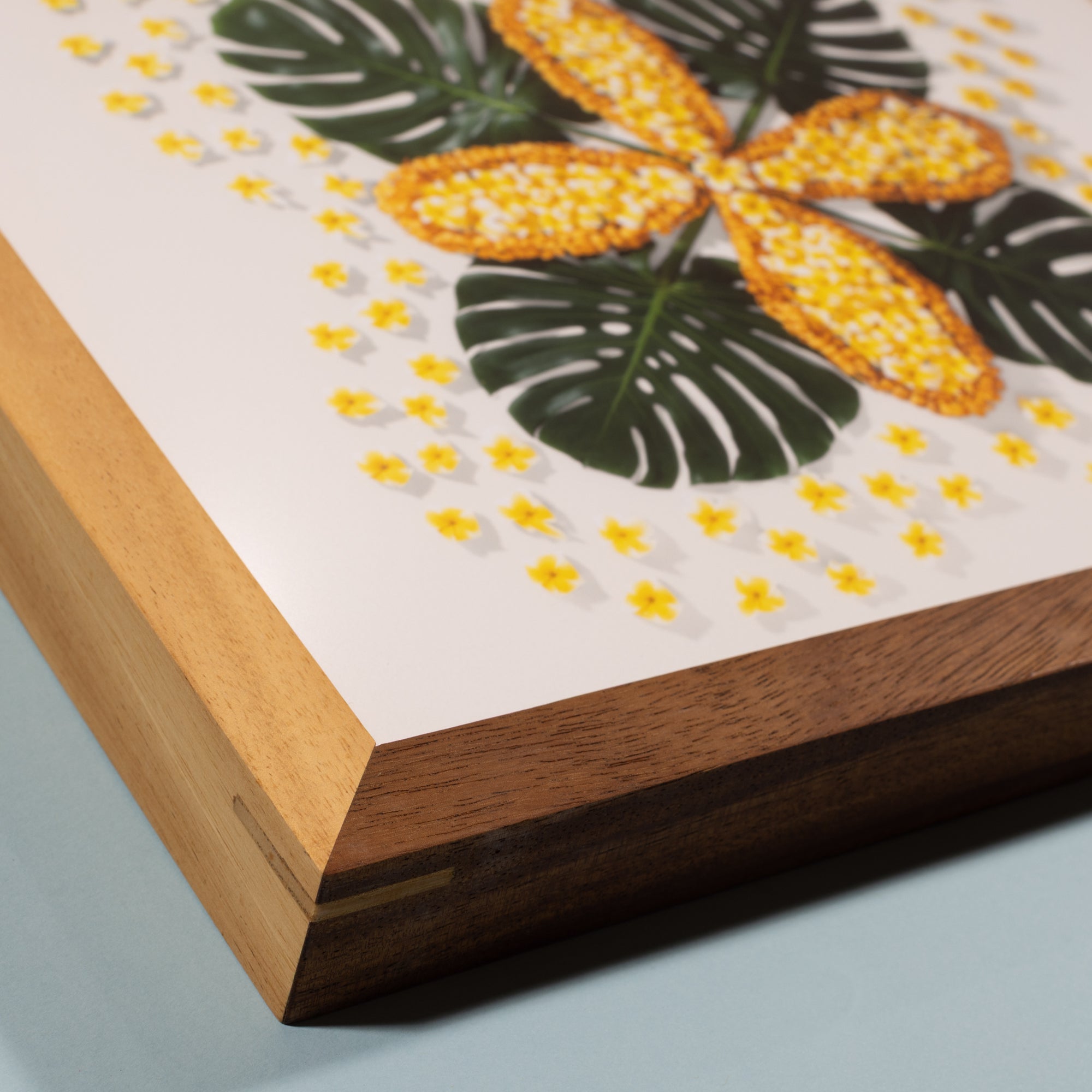 Hut Hut Hou! with Monkey Pod Frame