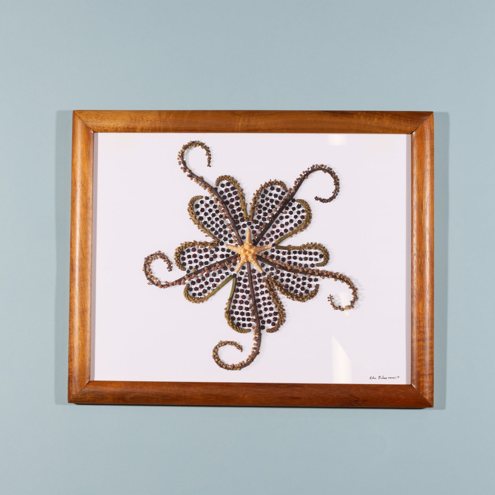 Unlce's Tako - Koa Wood Frame