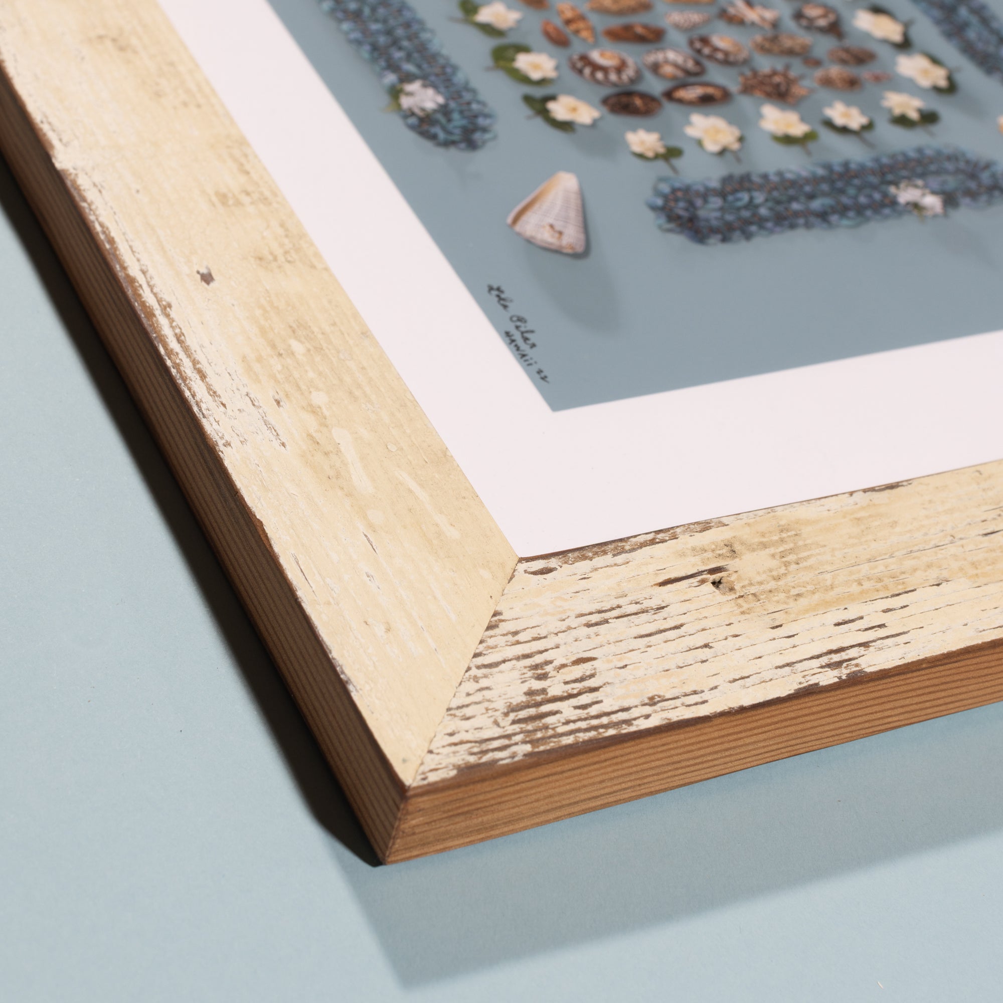 Shell-A-Brate with Reclaimed Redwood Frame