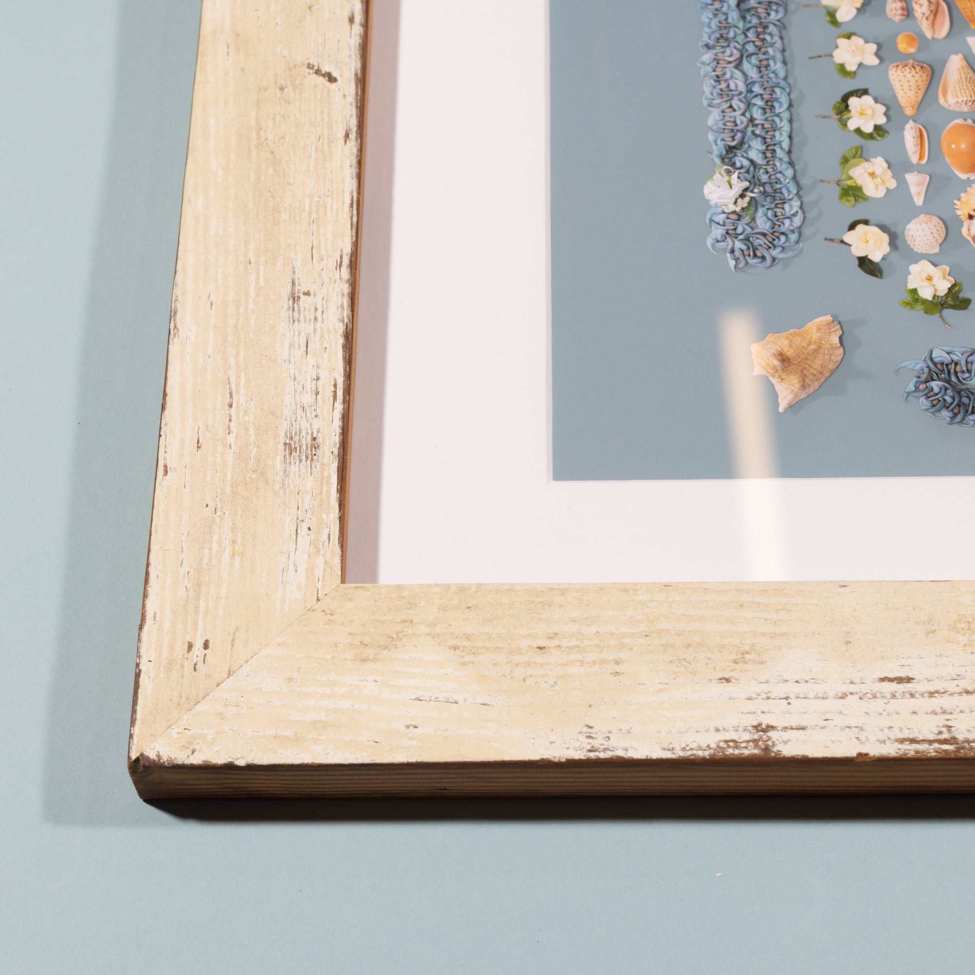 Shell-A-Brate with Reclaimed Redwood Frame