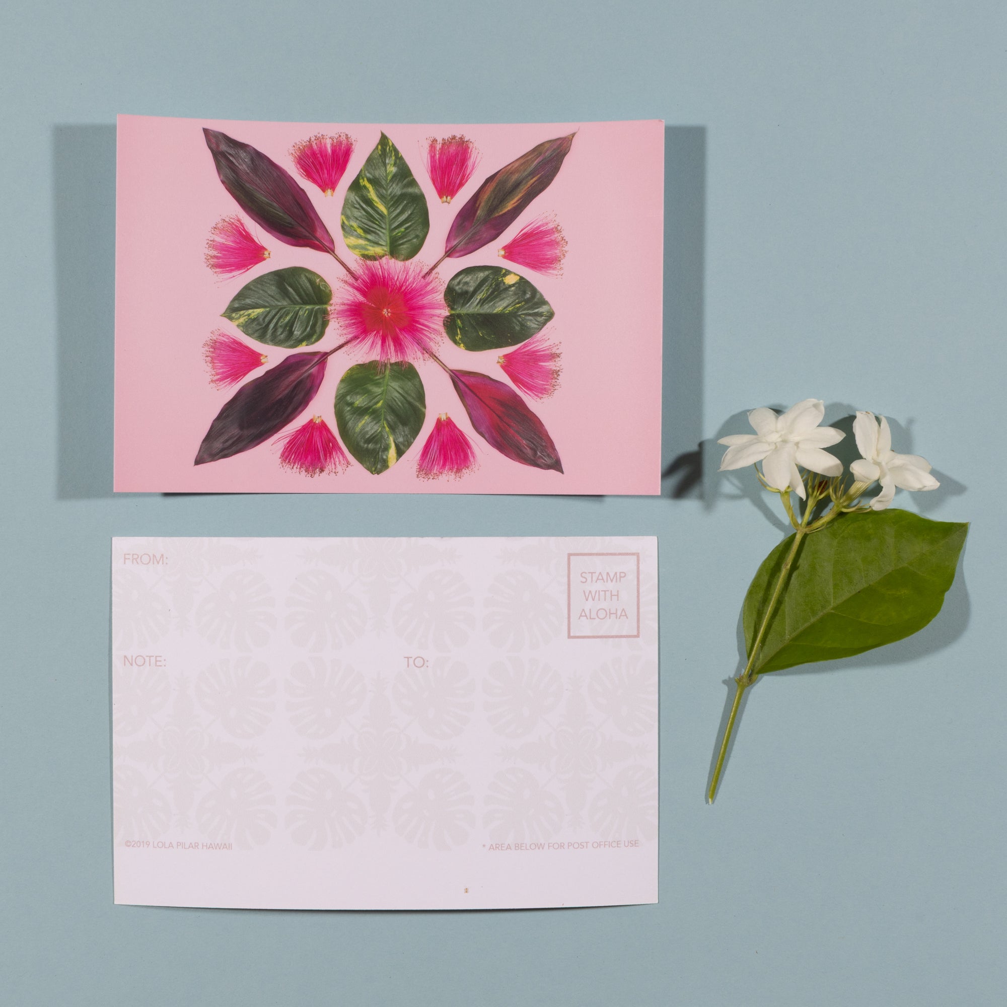 Mr. Bombaxtic - Single Postcard