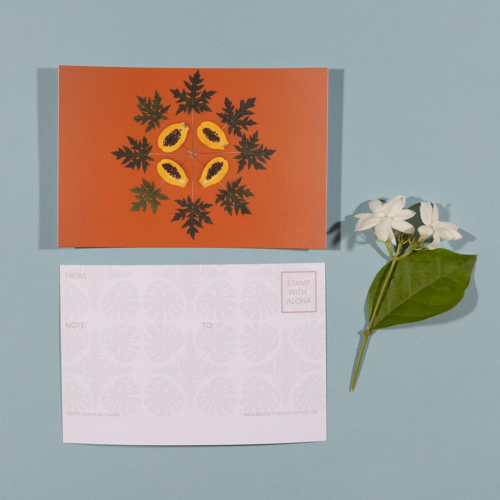 Papaya Sunrise - Single Postcard