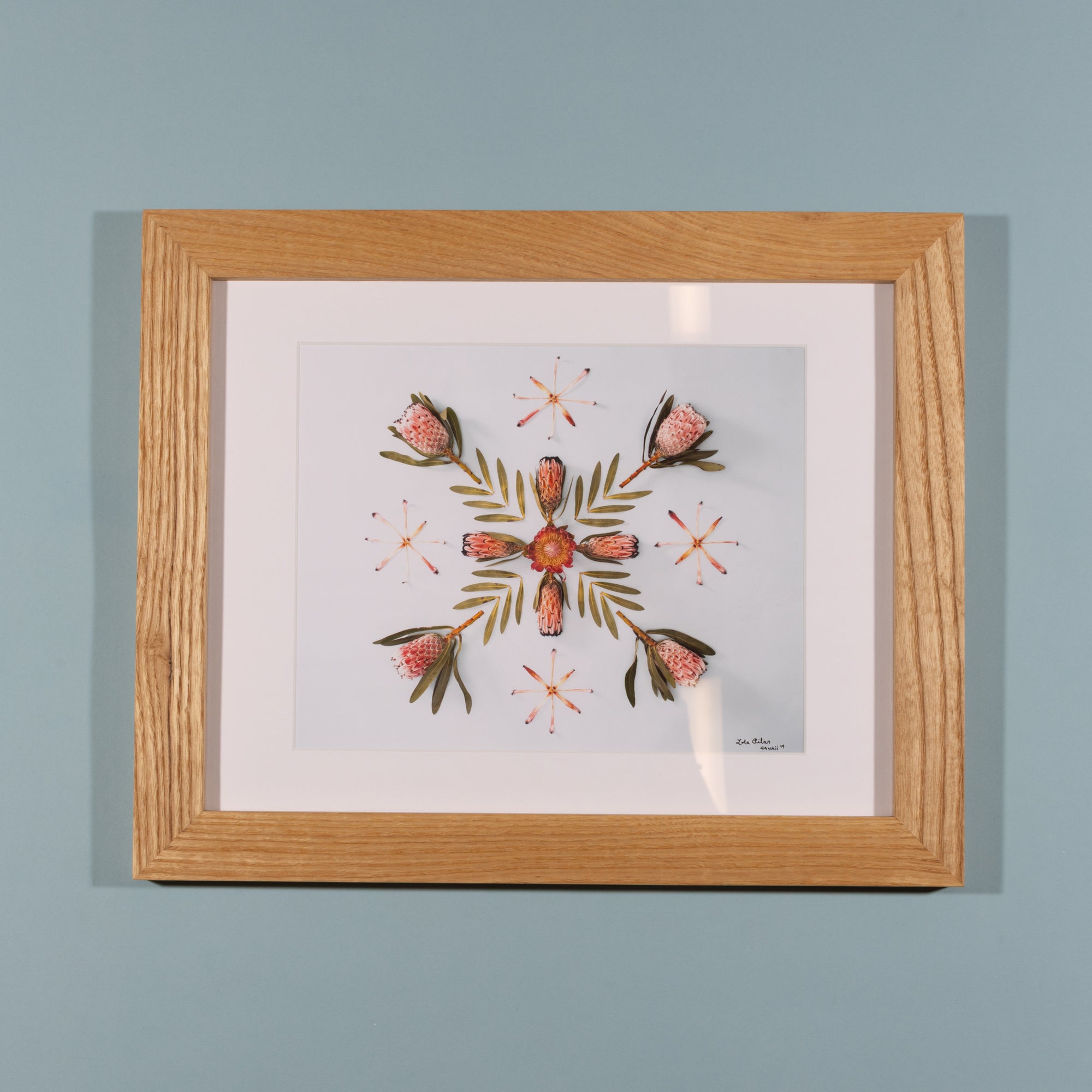 Pink Minx - Ash Frame