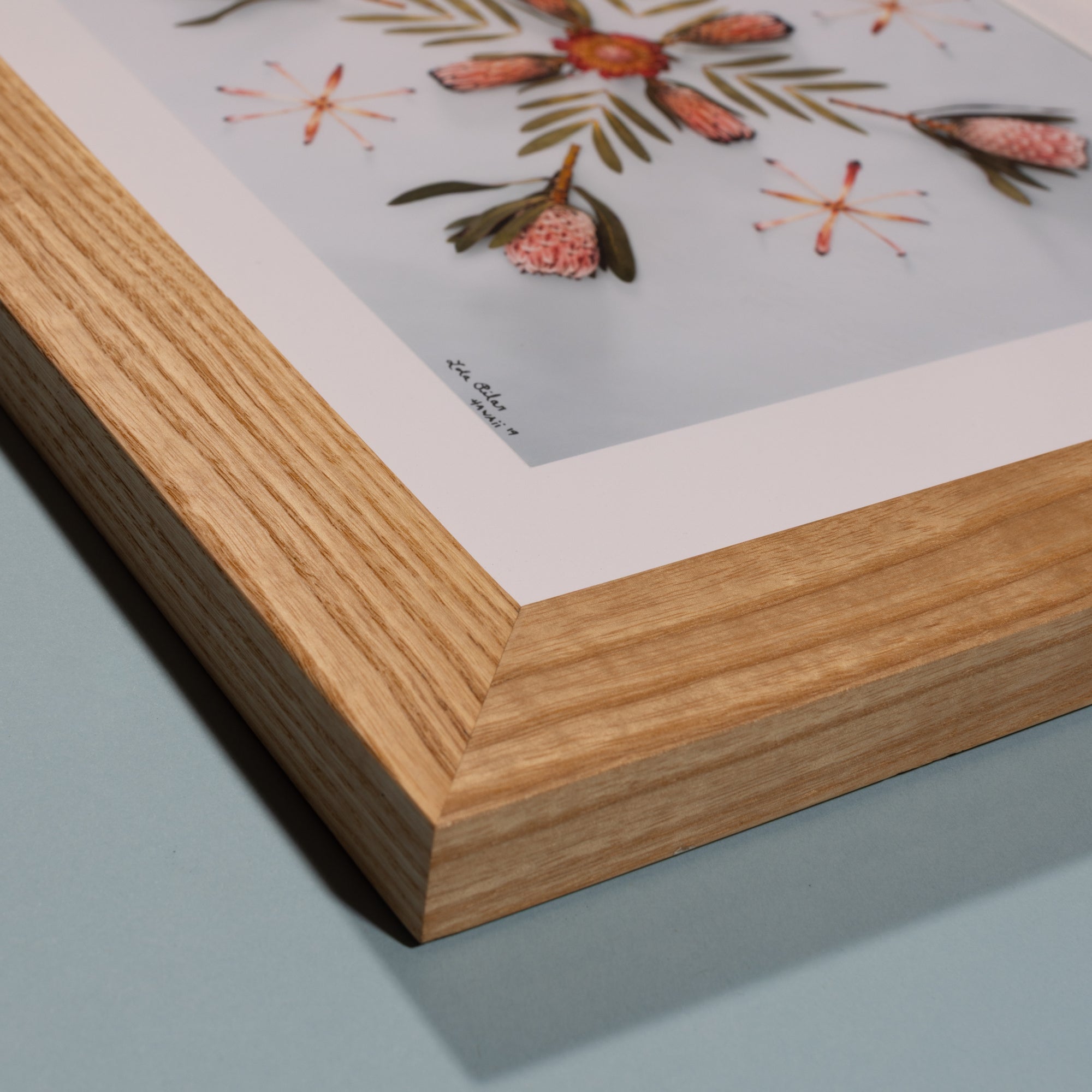 Pink Minx - Ash Frame