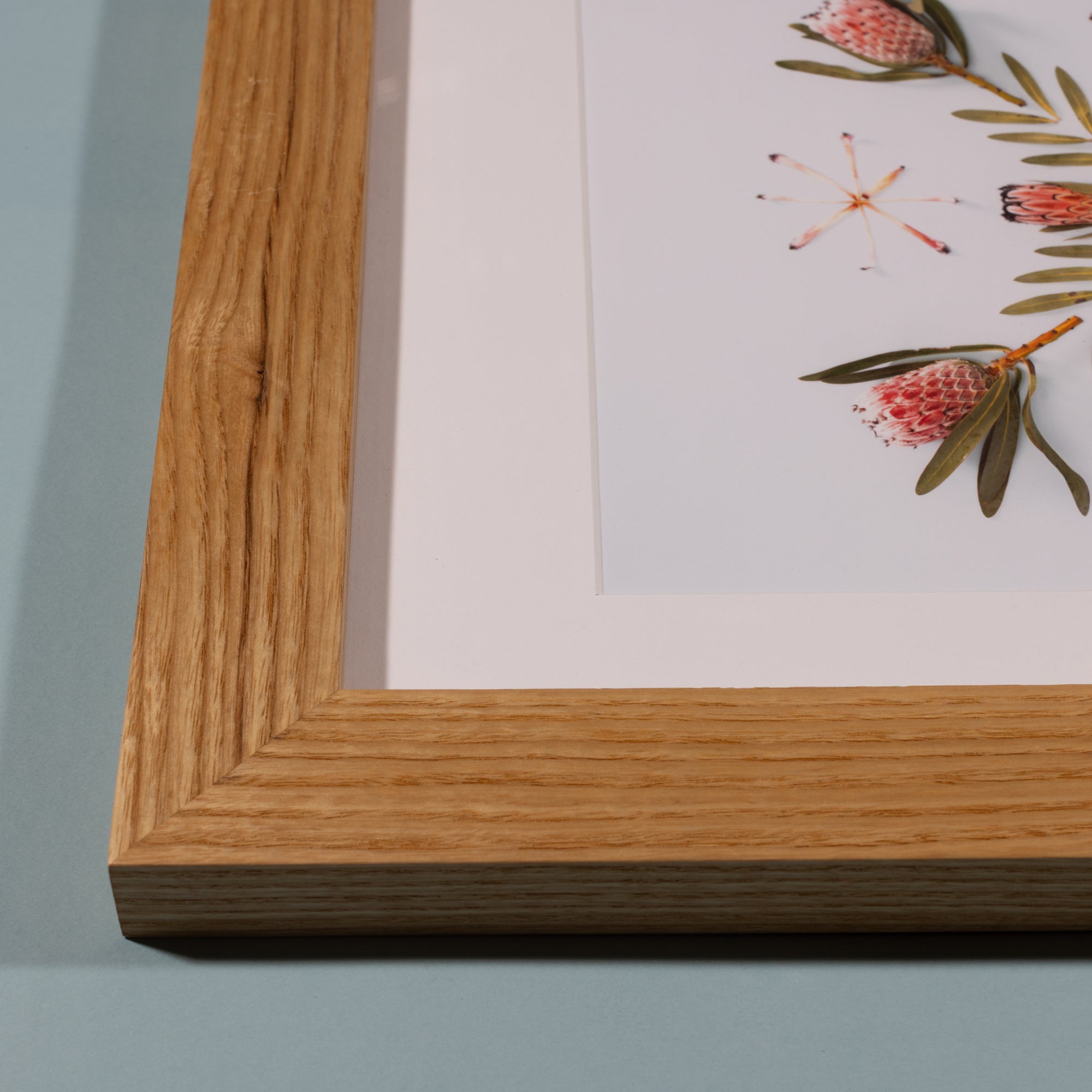 Pink Minx - Ash Frame