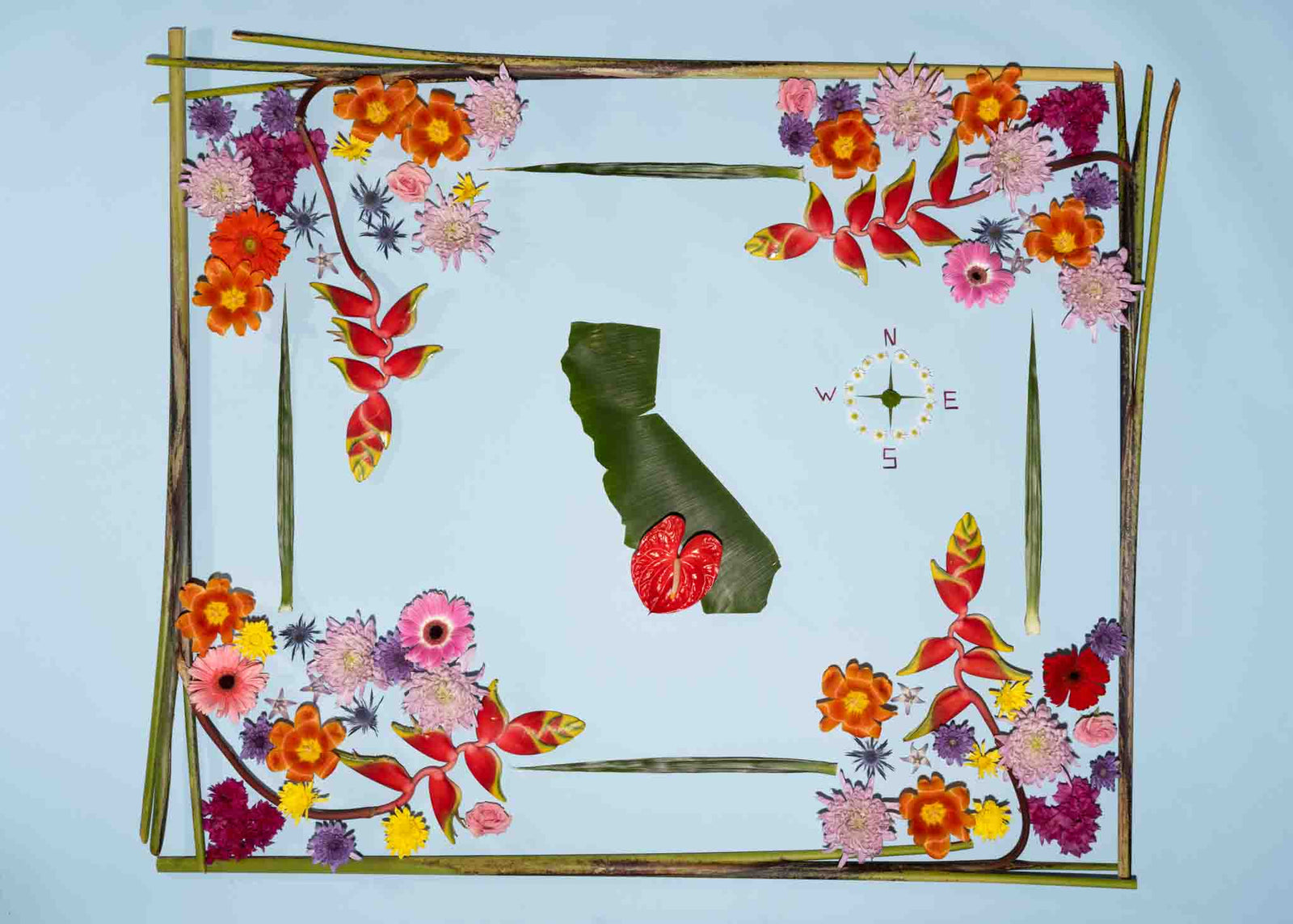 Hawaii Made Photographic Artwork inspired by Vintage