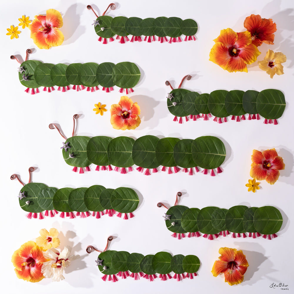 Fuzzy Caterpillar