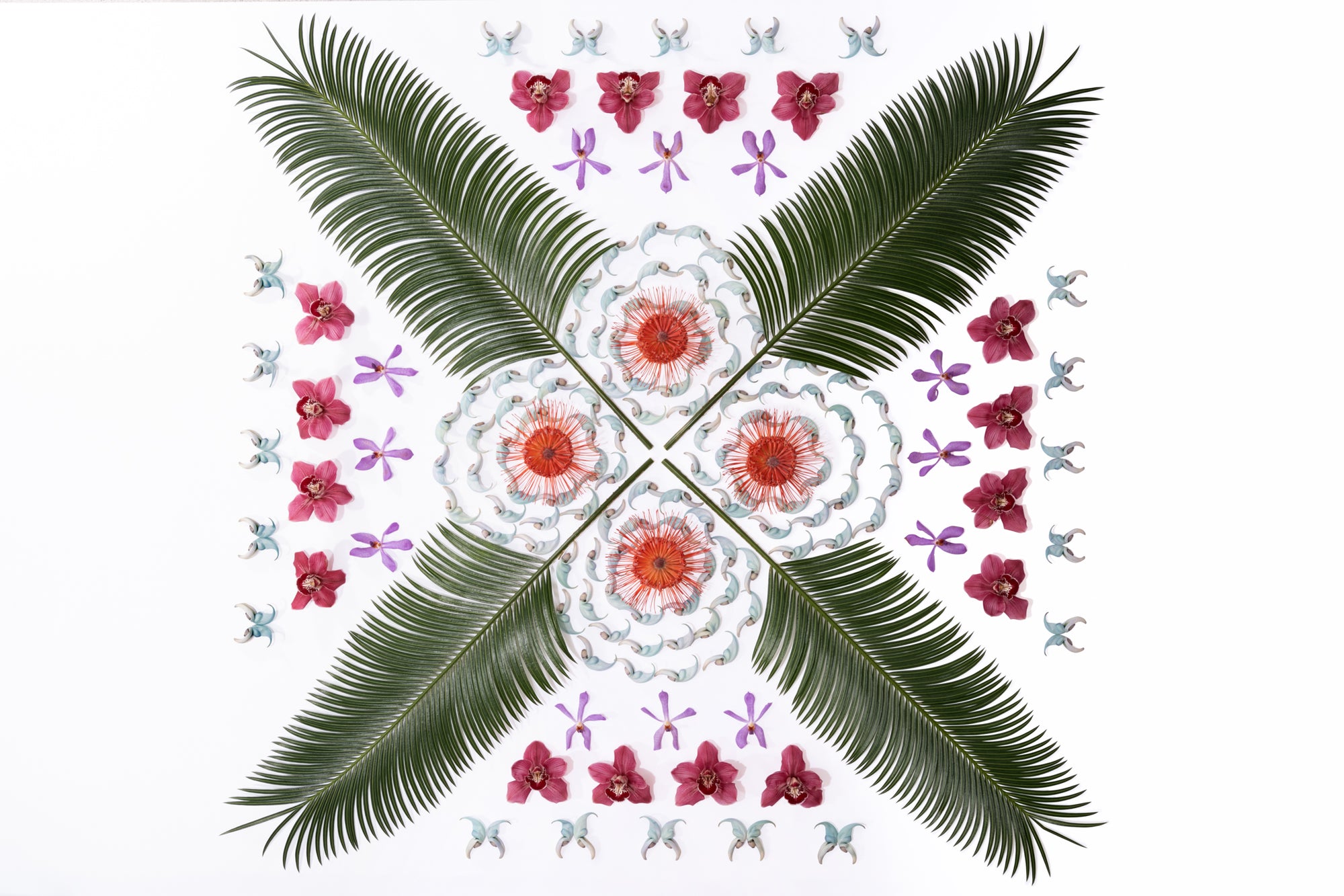 image of tropical plants in a symmetrical design