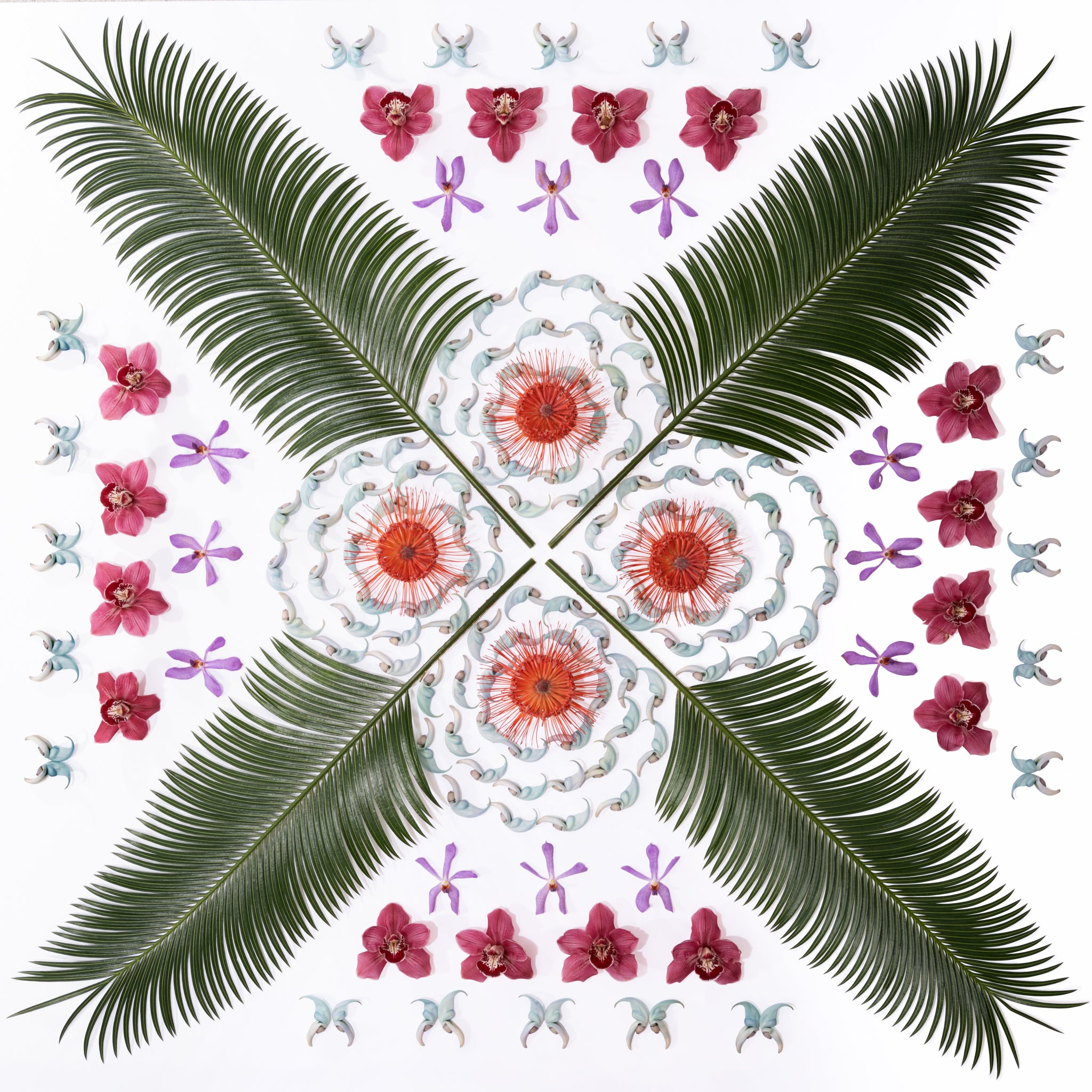 値下げ　JACK RANKIN ジャック　ランキン　写真　パノラマ　 ハワイ Jack Lane Hawaiian Floral Art Print | Jade Flower & Protea Quilt