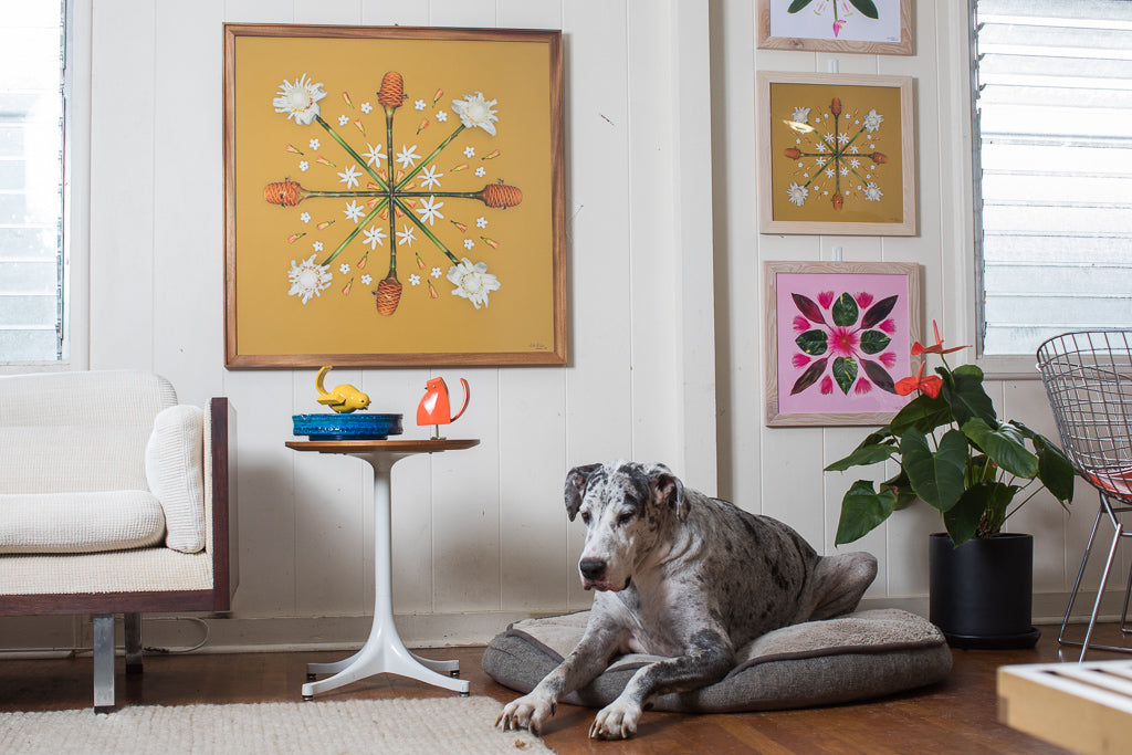Four photographs framed and hanging in an old hawaiian style home with mid-century modern furniture and a great dane lounging