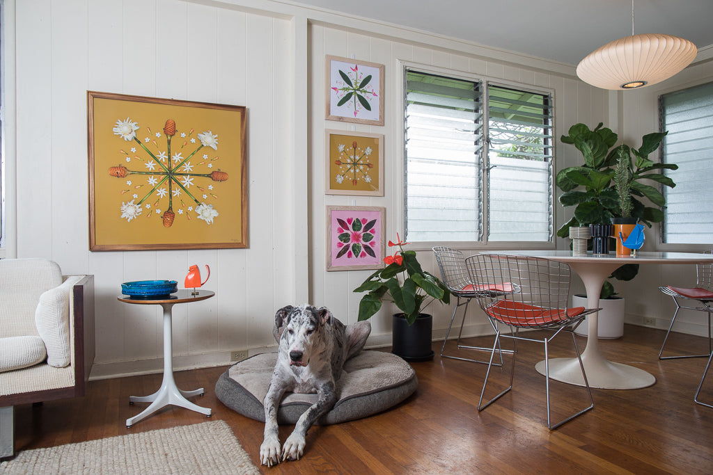 Beautiful fine art makes the white walls on this home stand out alongside the great dane Kingston.