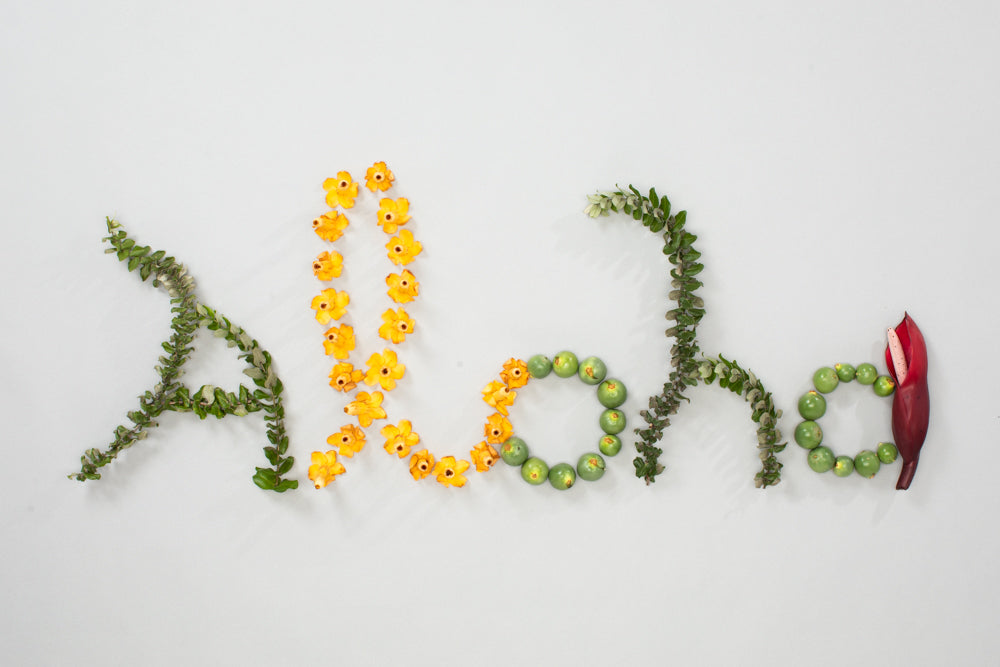 6-Pack of Aloha Greeting Cards