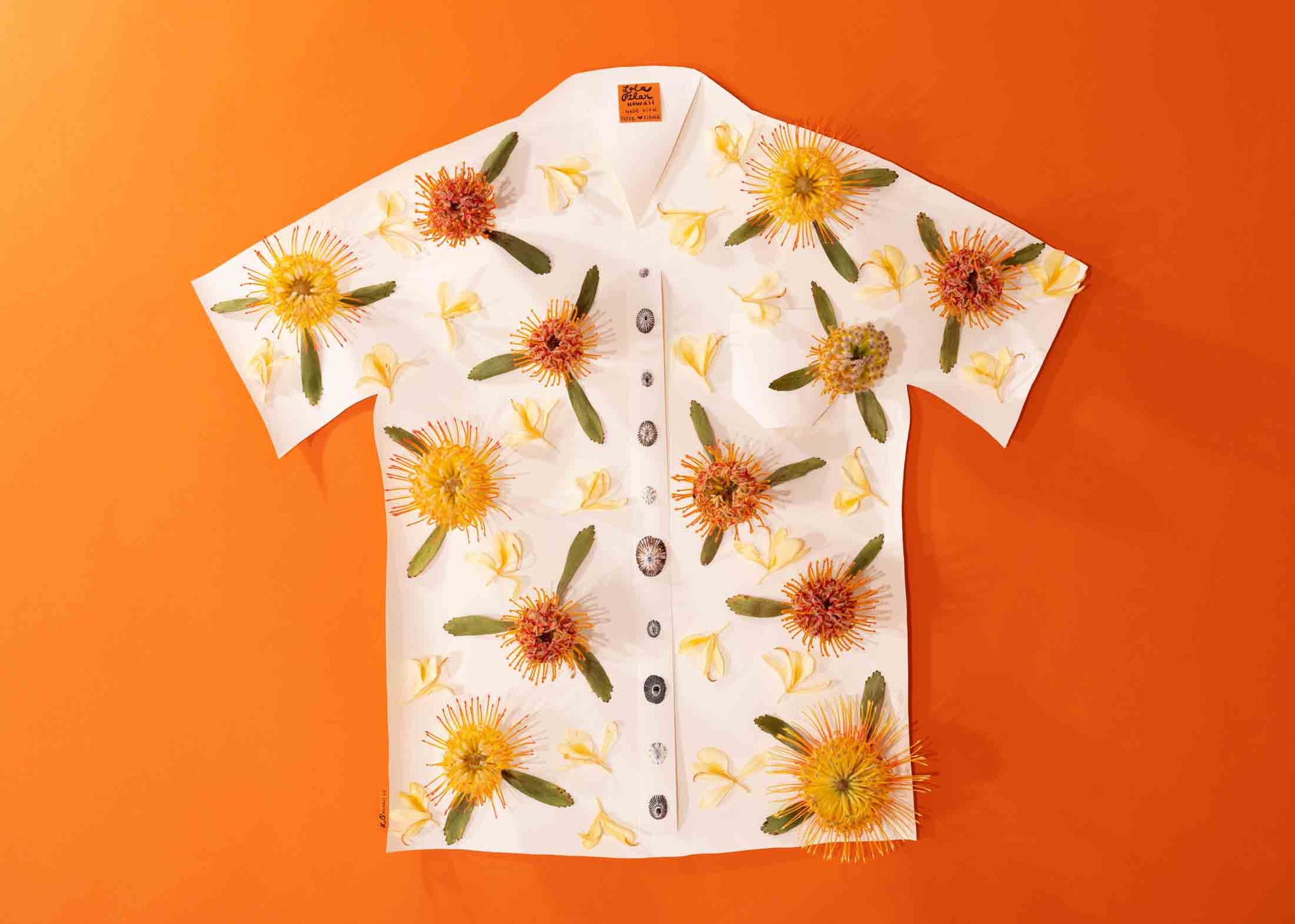 mokulua island sunrise lola pilar hawaii artwork designed in hawaii made in hawaii artist opihi shell kahili ginger pincushion protea aloha shirt aloha friday collection