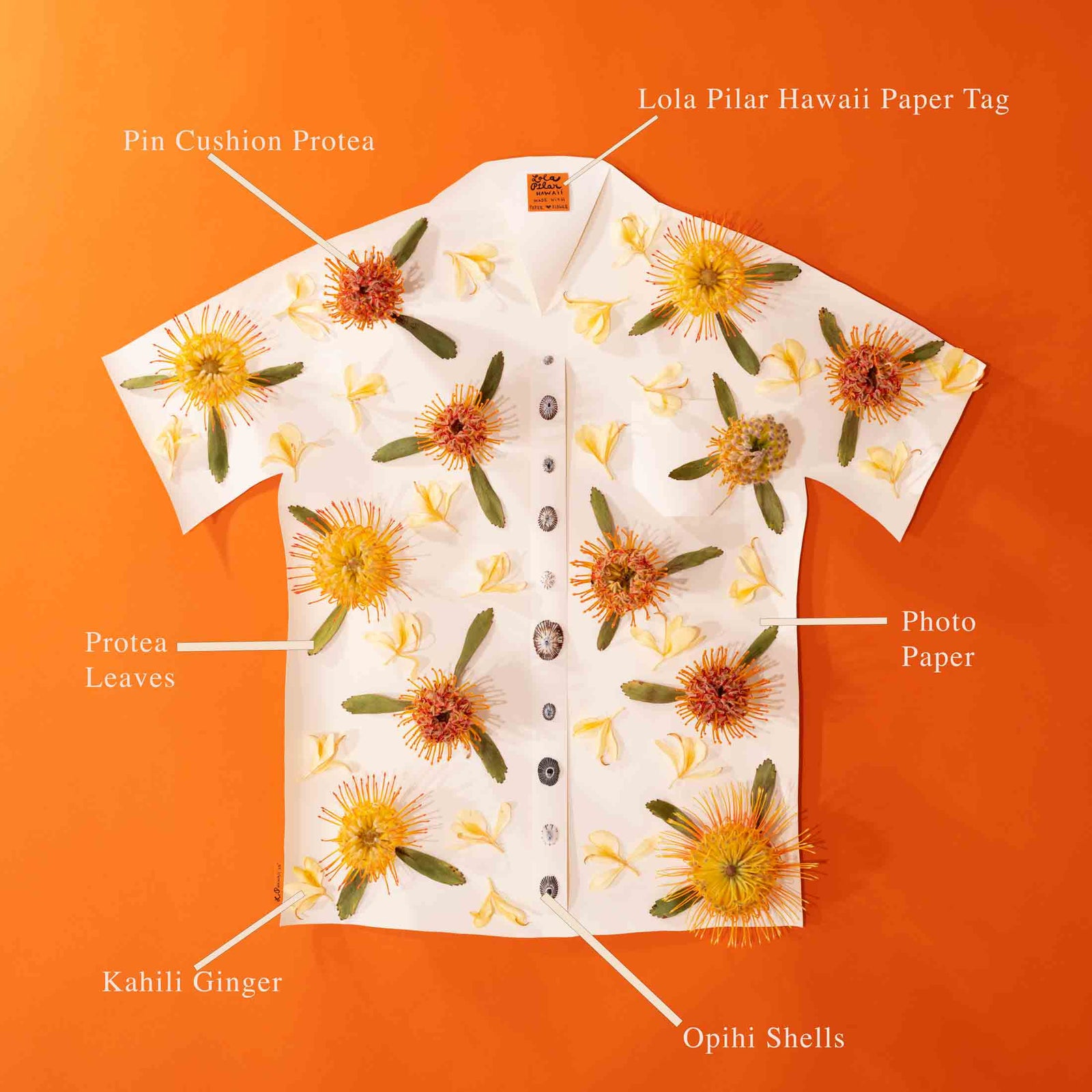 mokulua island sunrise lola pilar hawaii artwork designed in hawaii made in hawaii artist opihi shell kahili ginger pincushion protea aloha shirt aloha friday collection
