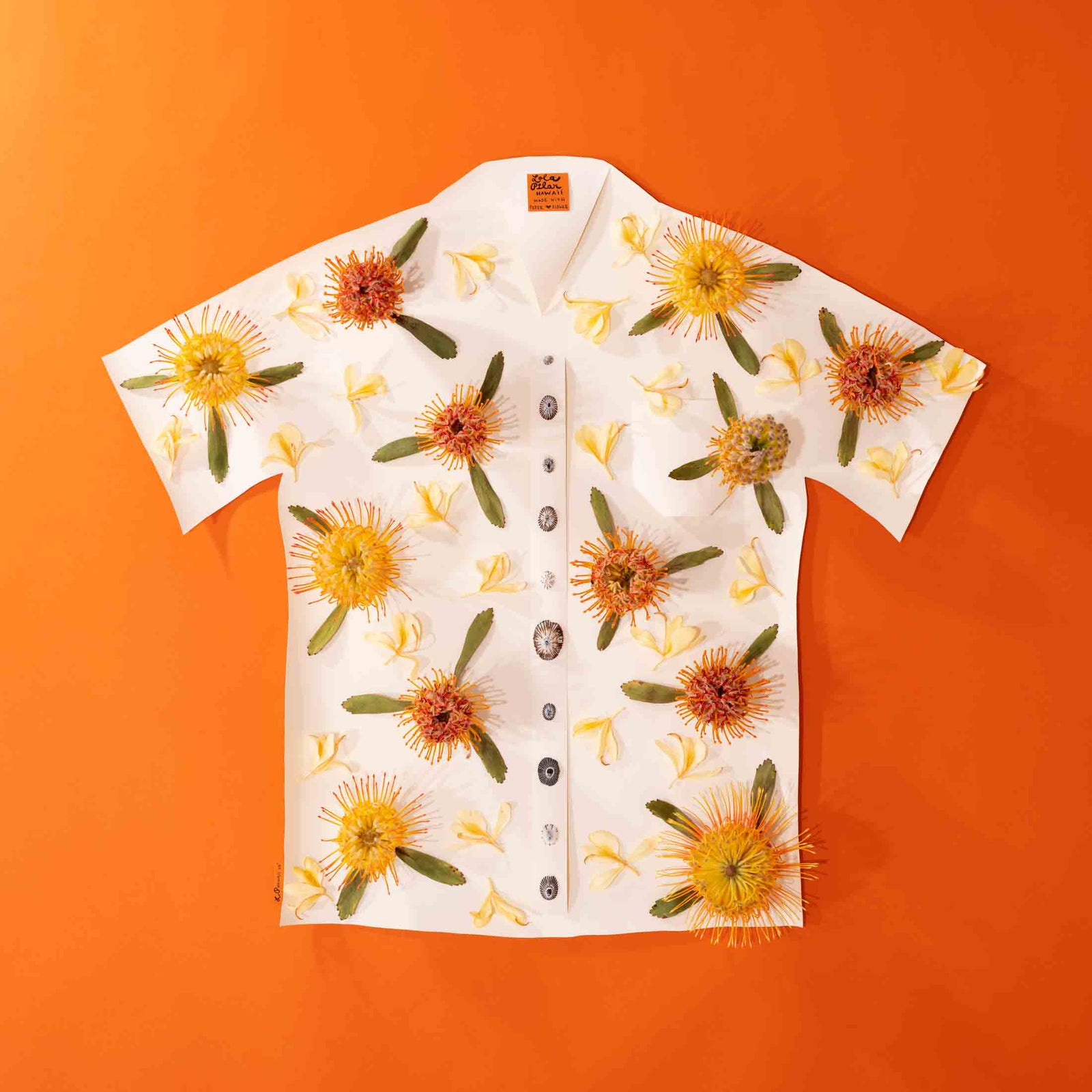 mokulua island sunrise lola pilar hawaii artwork designed in hawaii made in hawaii artist opihi shell kahili ginger pincushion protea aloha shirt aloha friday collection