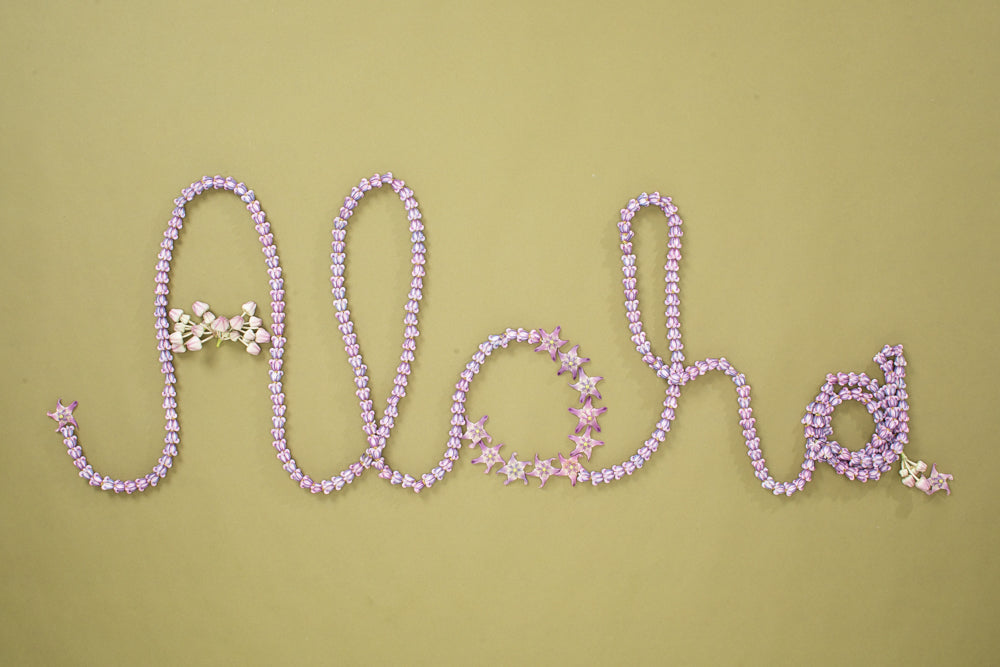 6-Pack of Aloha Greeting Cards