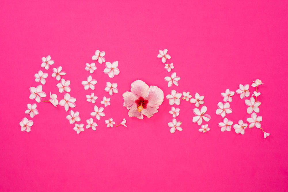 6-Pack of Aloha Greeting Cards