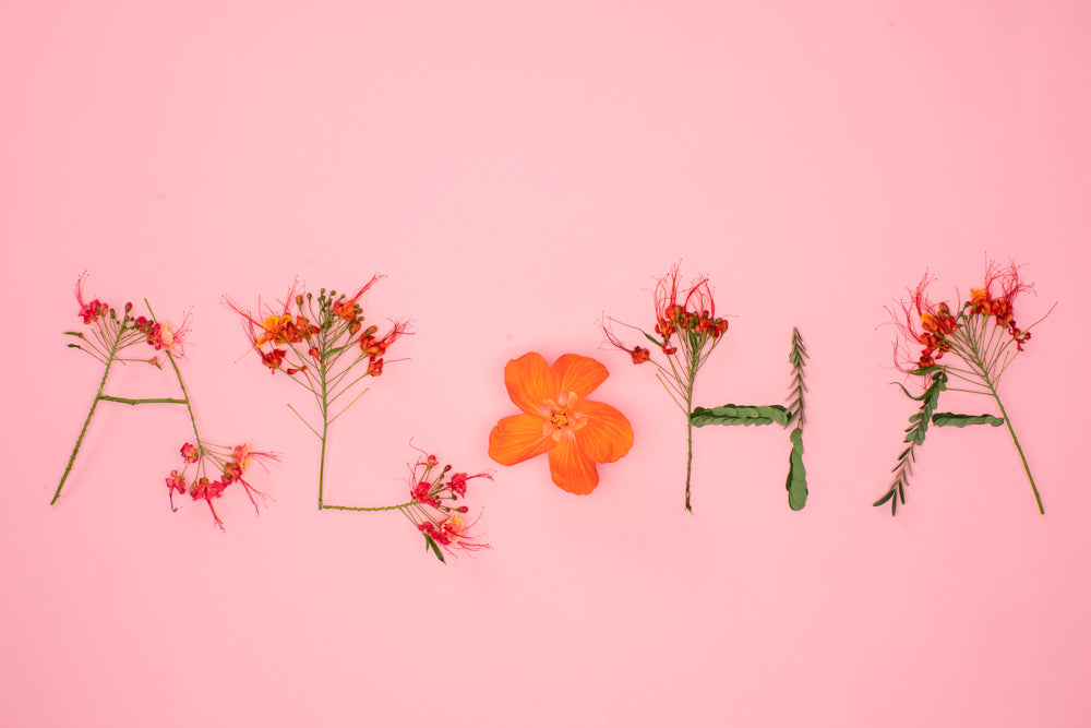 6-Pack of Aloha Greeting Cards