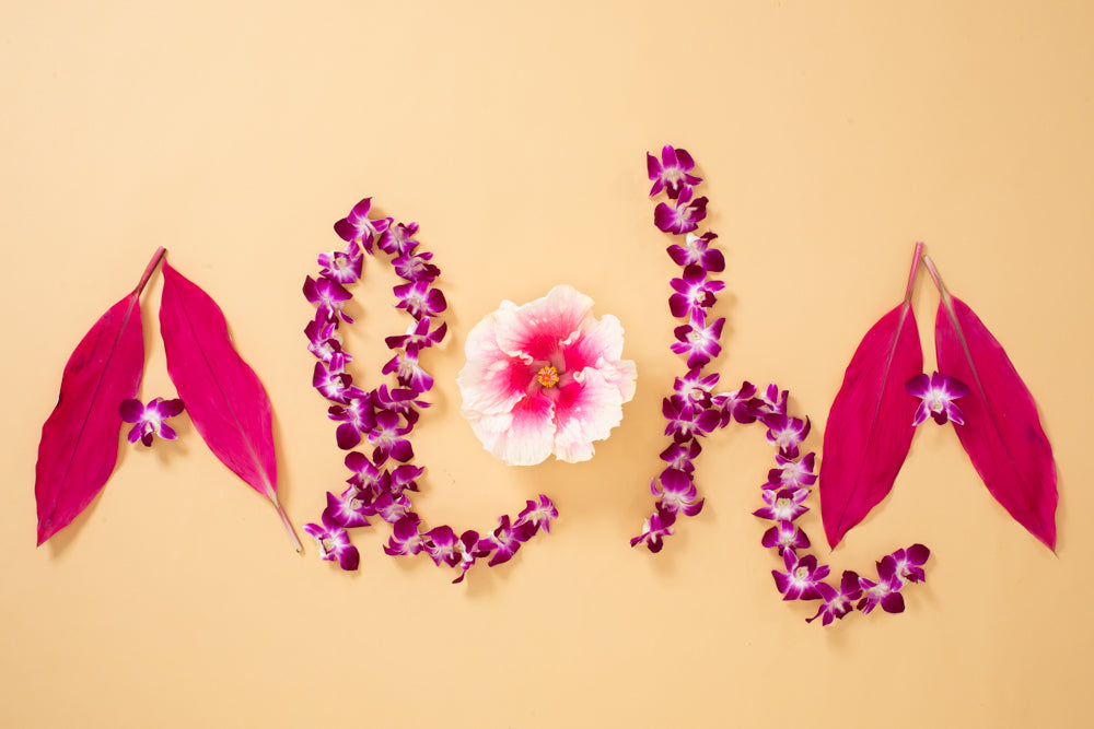 6-Pack of Aloha Greeting Cards