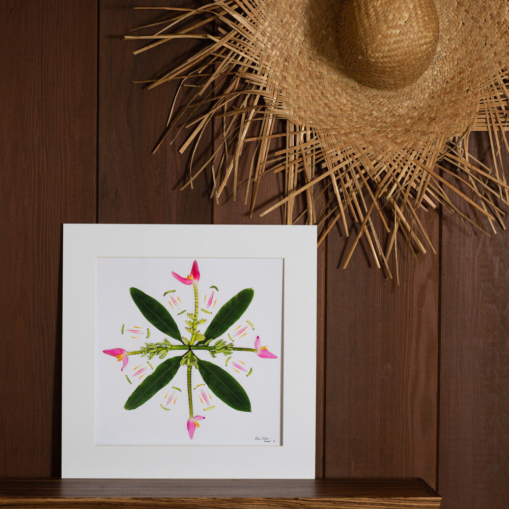 pink banana flower photo 16x16