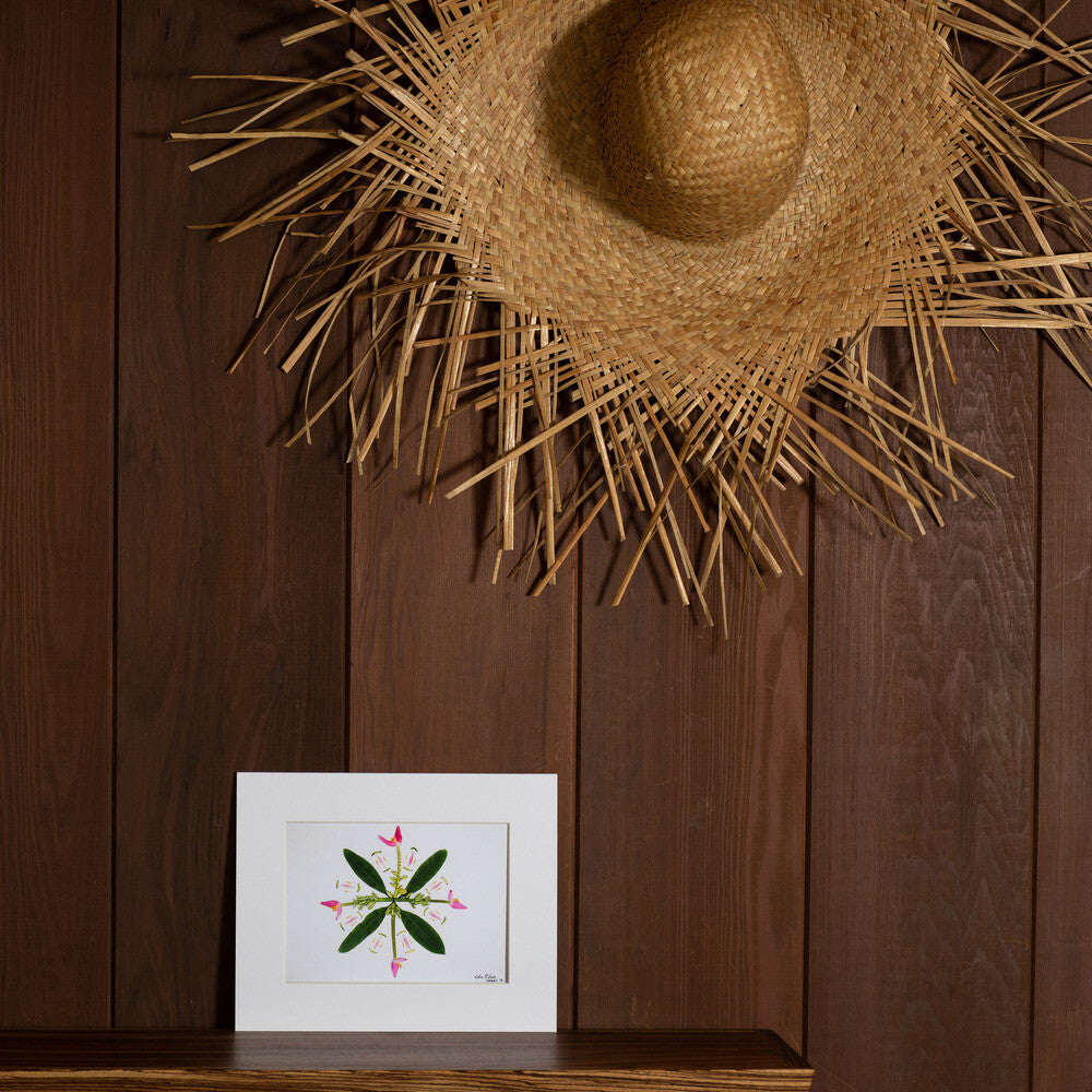 hawaii banana quilt design photo print