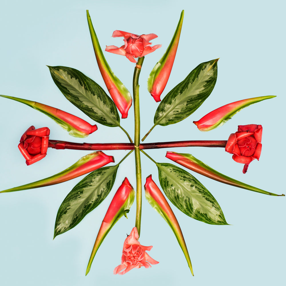 inspired by surfing california street in ventura california