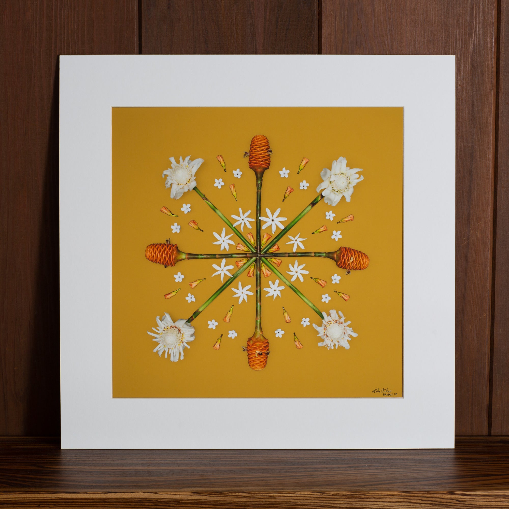 torch ginger honeycomb ginger tropical hawaii plant photo 