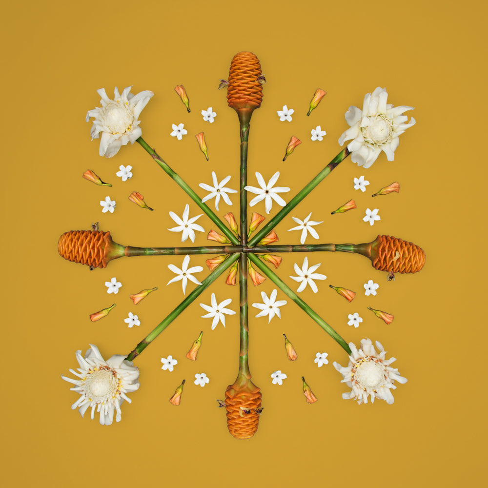 torch ginger honeycomb ginger madagascar jasmine tahitian gardenia