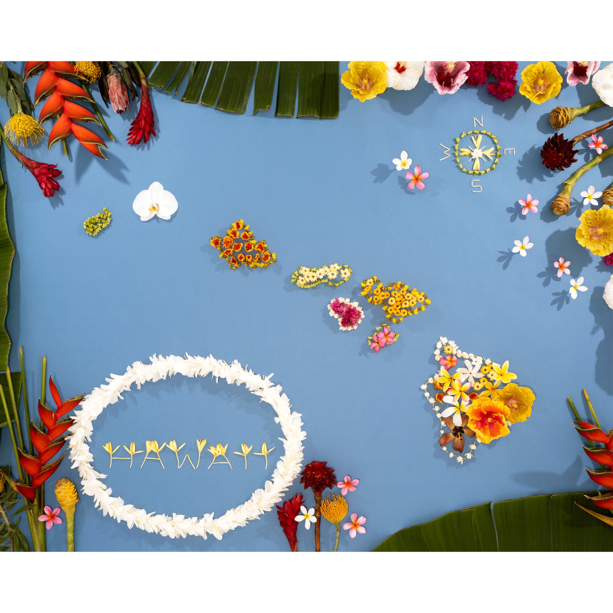 11x14 map, 16x20 hawaii map, 16x20, hawaiian map, hawaiian islands, tropical flowers, vintage hawaii, islandscape, lola pilar hawaii, tropical art, hawaii artists