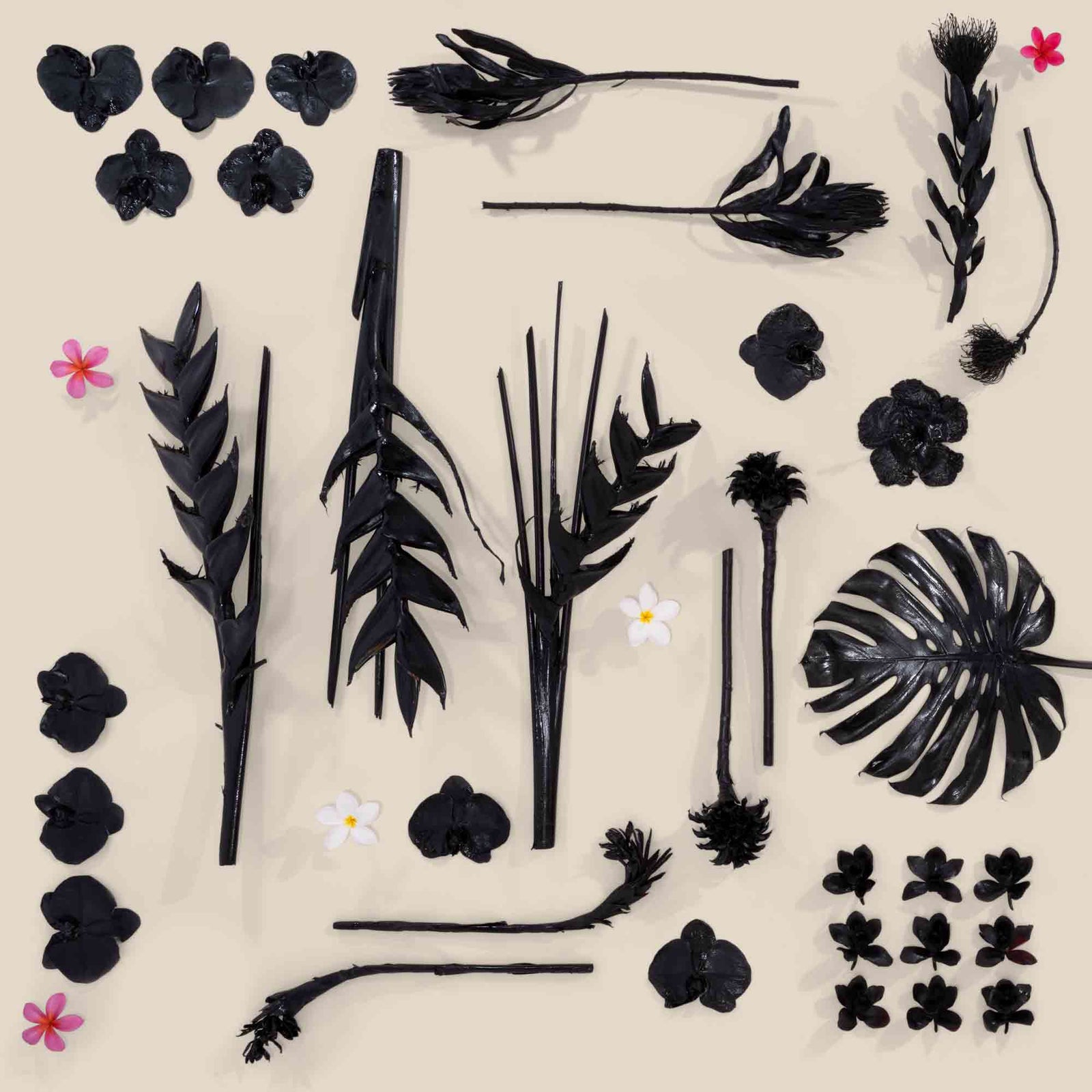 La fleur noire art print lola pilar hawaii spray painted black flowers monstera protea plumeria orchid heleconia hawaii tropical flowers