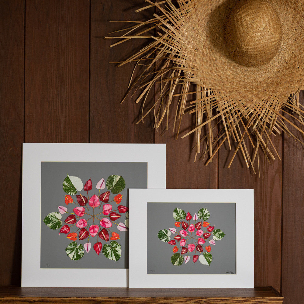 grey background with pink purple and red anthuriums along with hau tree leaves