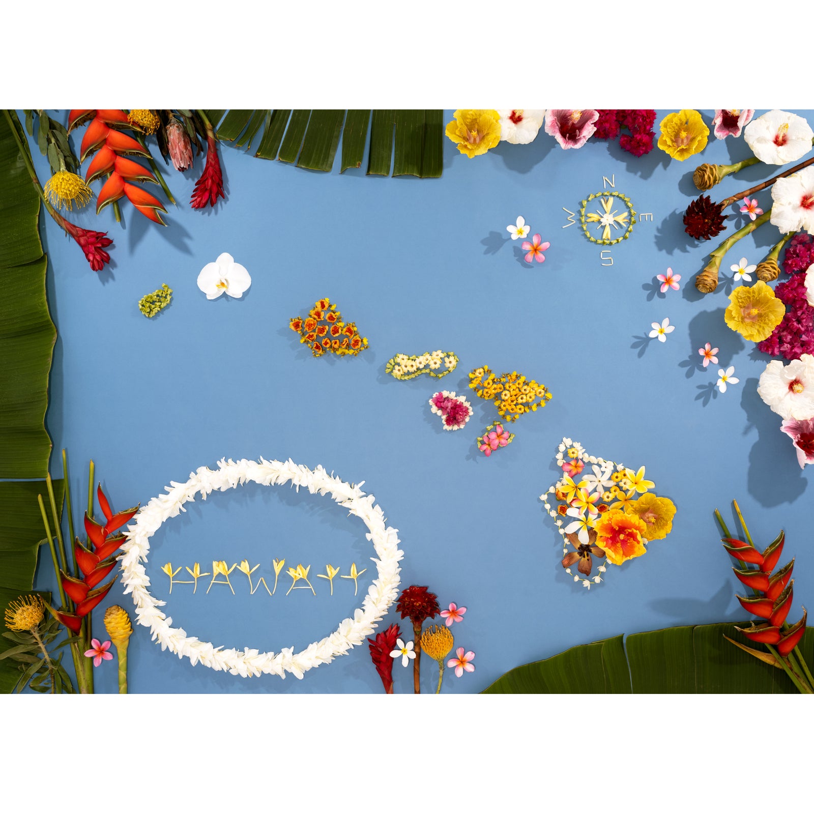 Hawaii flower map 8x10 size using local flowers, puakenikeni, pakalana, hibiscus, plumeria, vintage hawaii, hawaiian islands, gingers, flower map, nautical hawaii