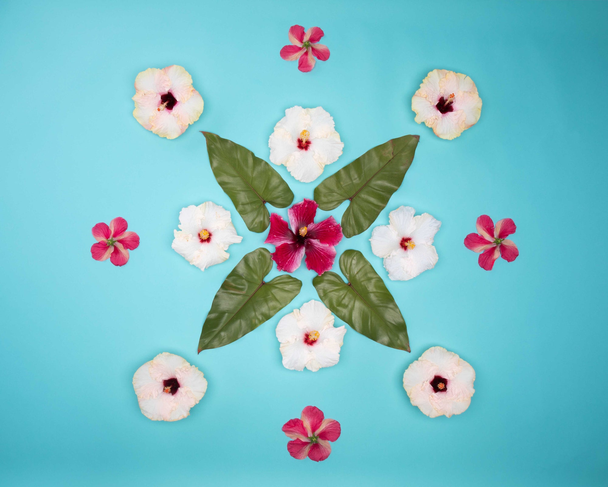 pacific seas limited edition art print lola pilar hawaii hibiscus philodendron 