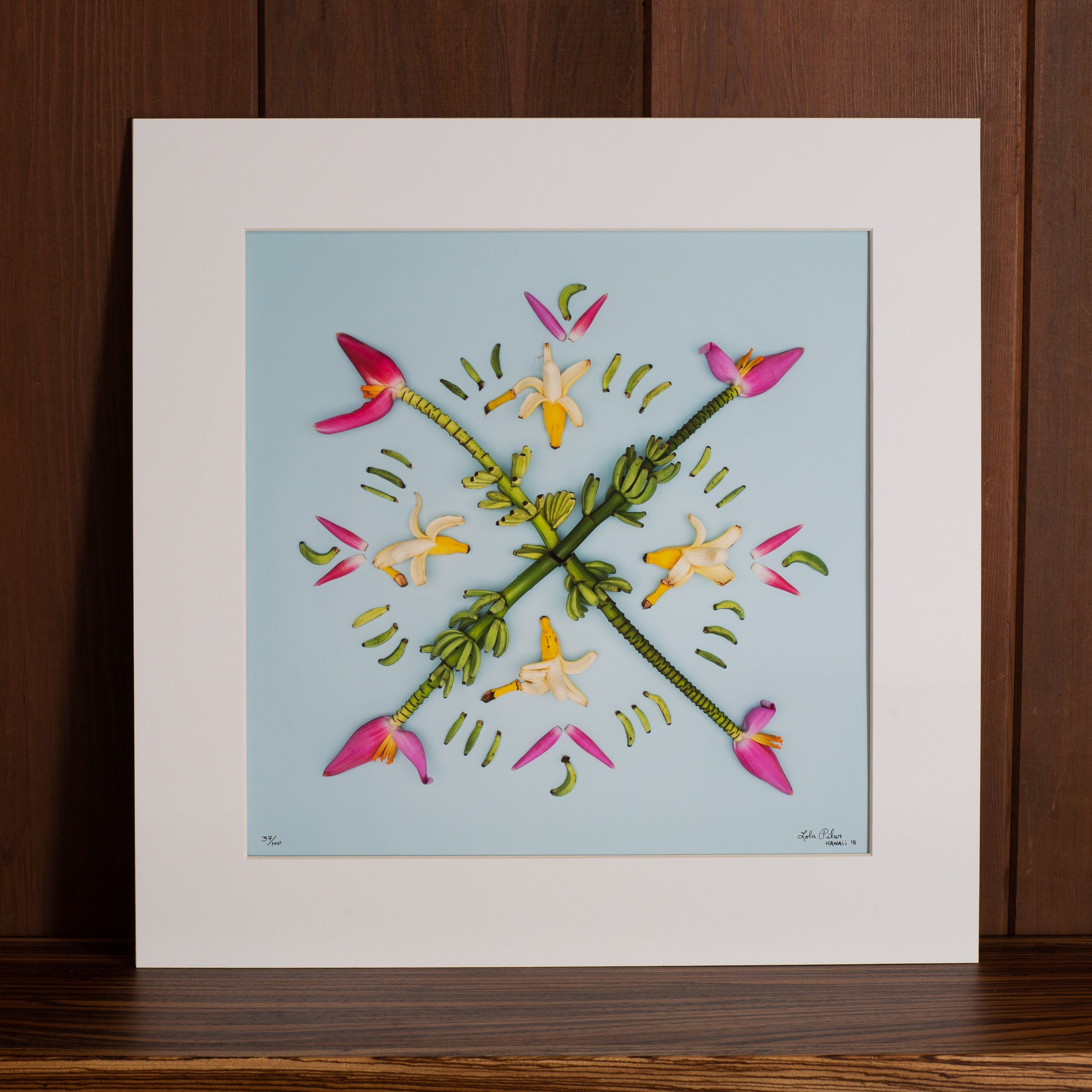 pink musa ornata ornamental banana plant hawaiian photograph art limited edition