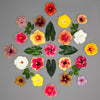 colorful rainbow hibiscus and anthurium leaves in a hawaiian quilt design