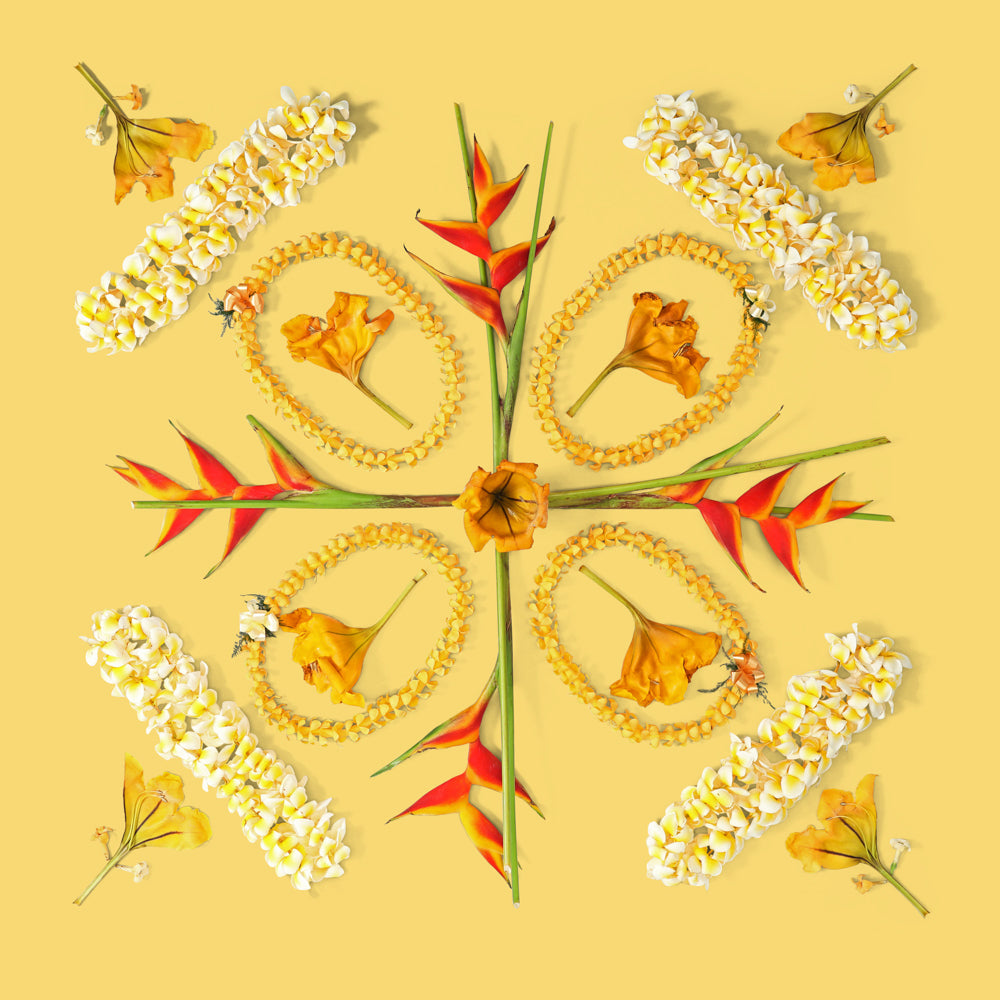 cup of gold plumeria heliconia yellow tropical plants and flower leis