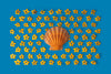 SunGlow - Oct. 22 Collection