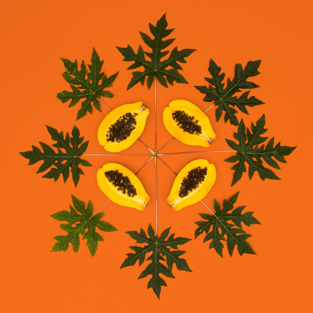 papaya and papaya leaves photo print 