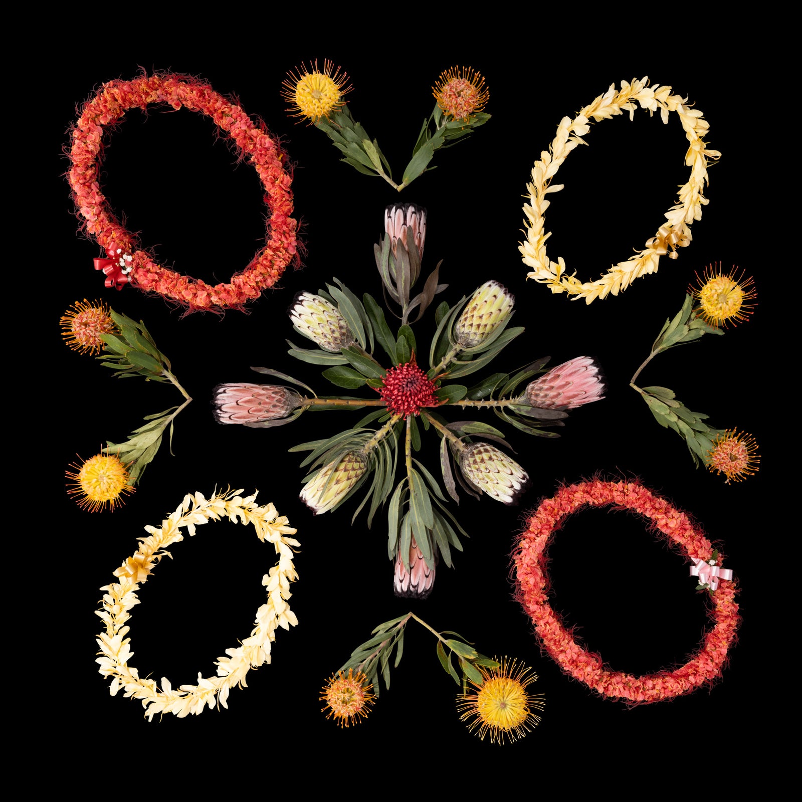 Ali'i - Oct. 22 Collection