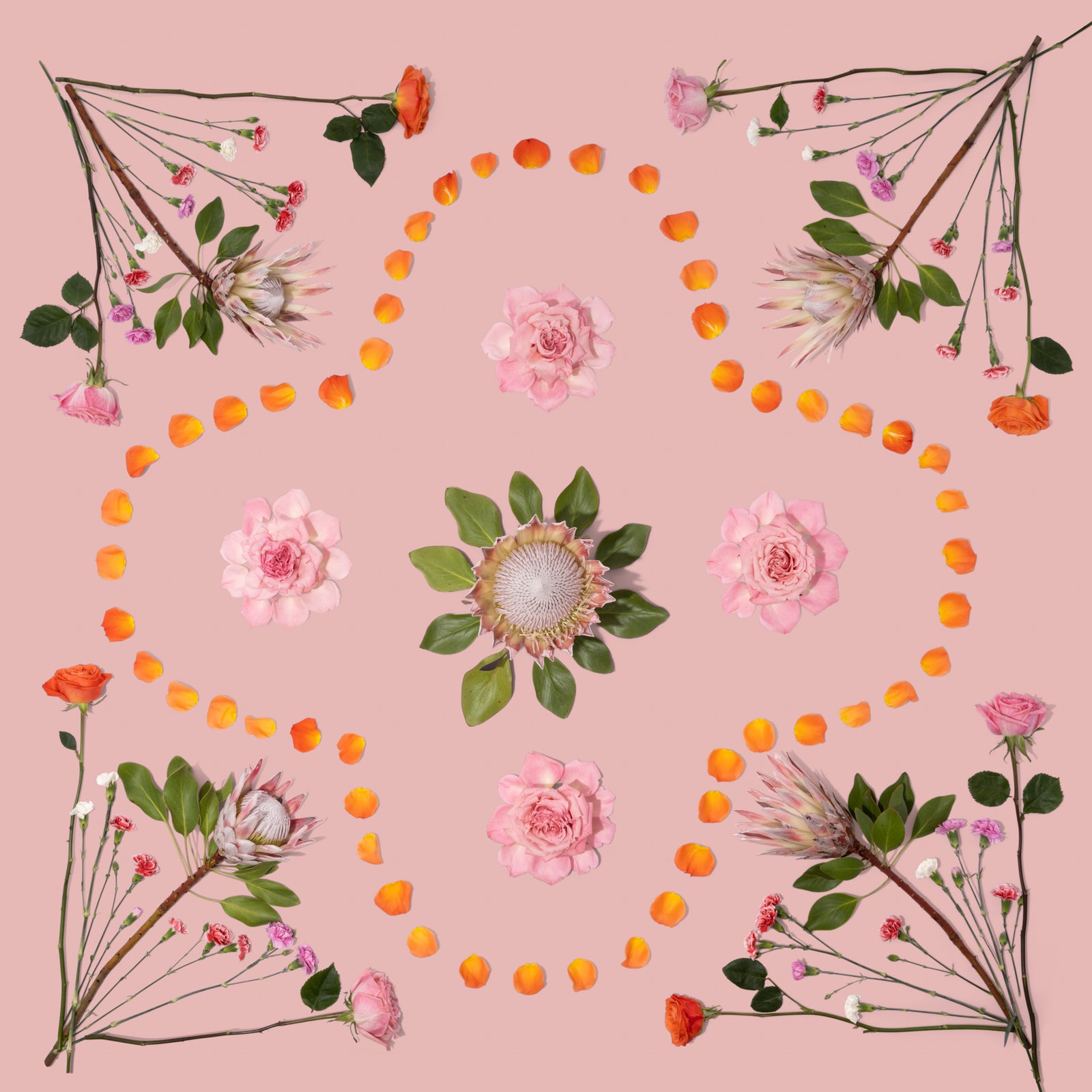 Dusty Dozen - Oct. 22 Collection