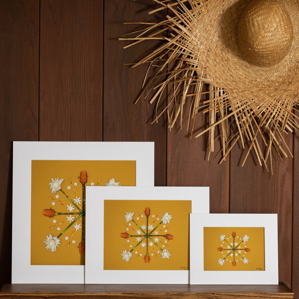 3 different photo sizes 16x16 11x14 8x10