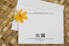 Hawaiian Snowflake Collection - Holiday Cards