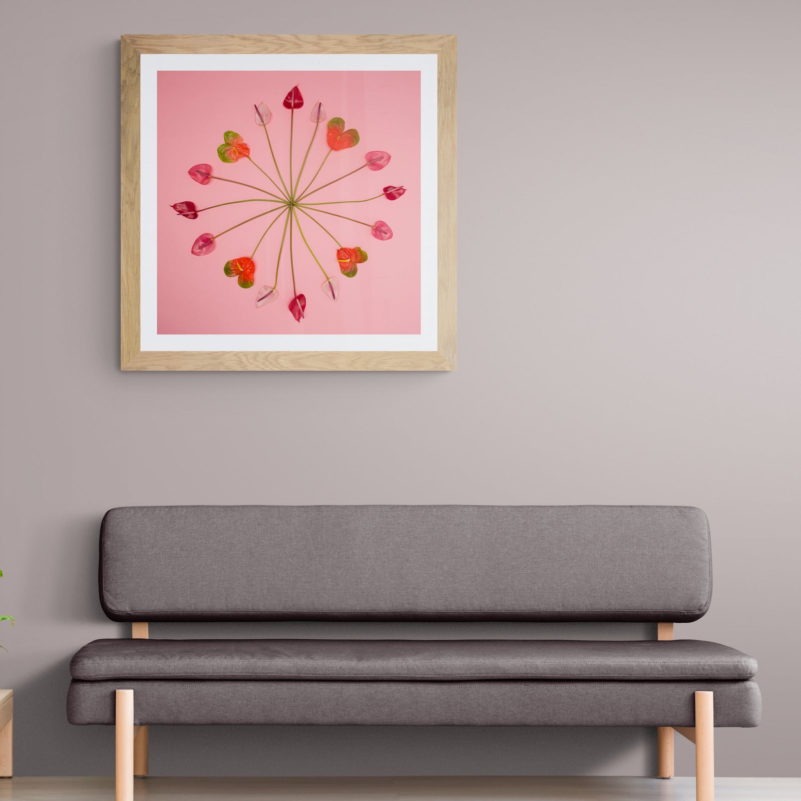 Ku'uipo - Limited Edition