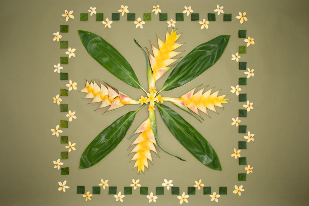 11x14 ti leaf check plumeria heliconia photo