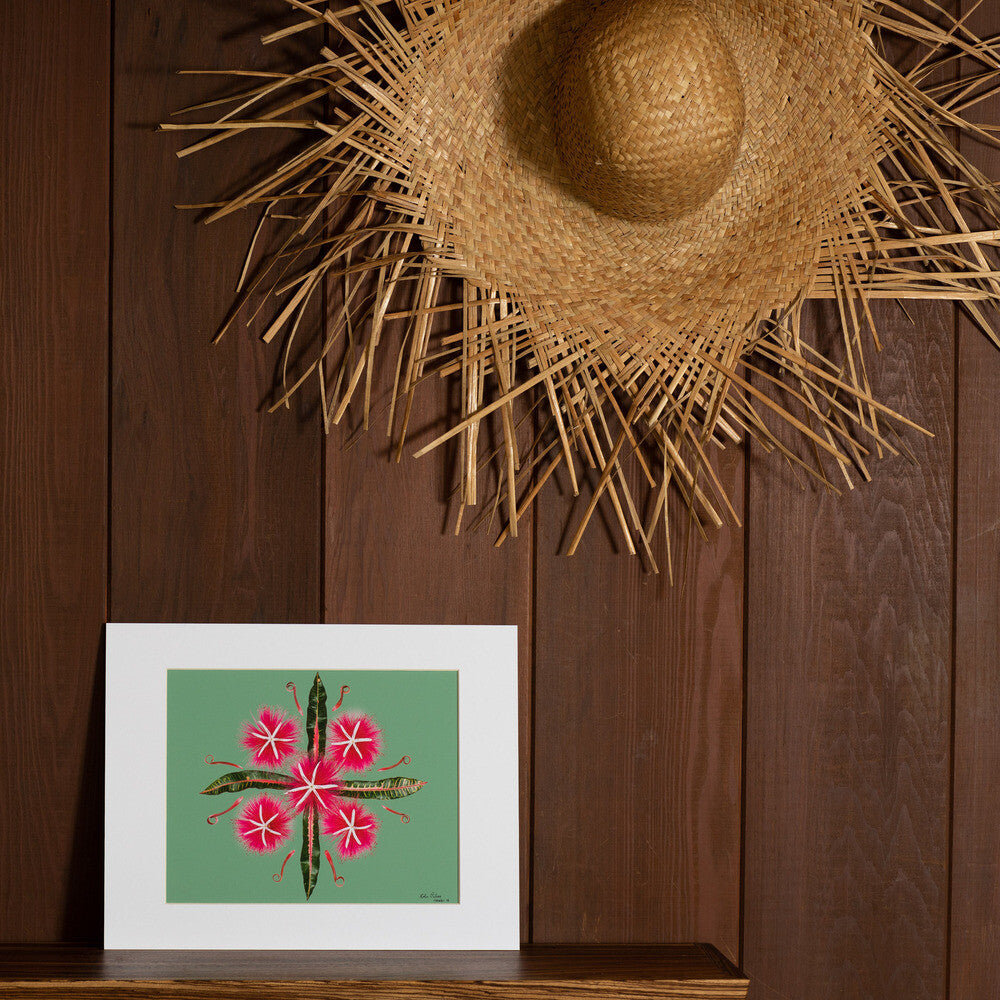 bombax croton spider lily photograph