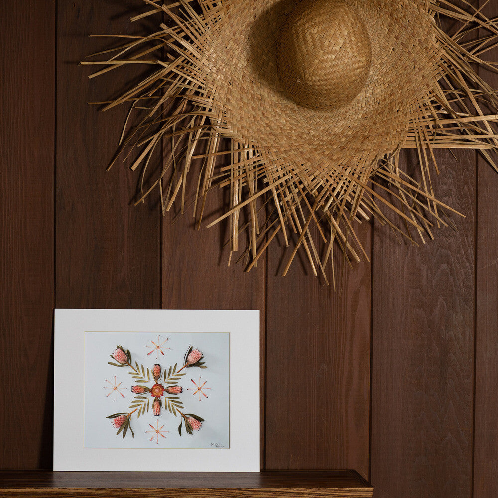 11x14 protea photographed in hawaii