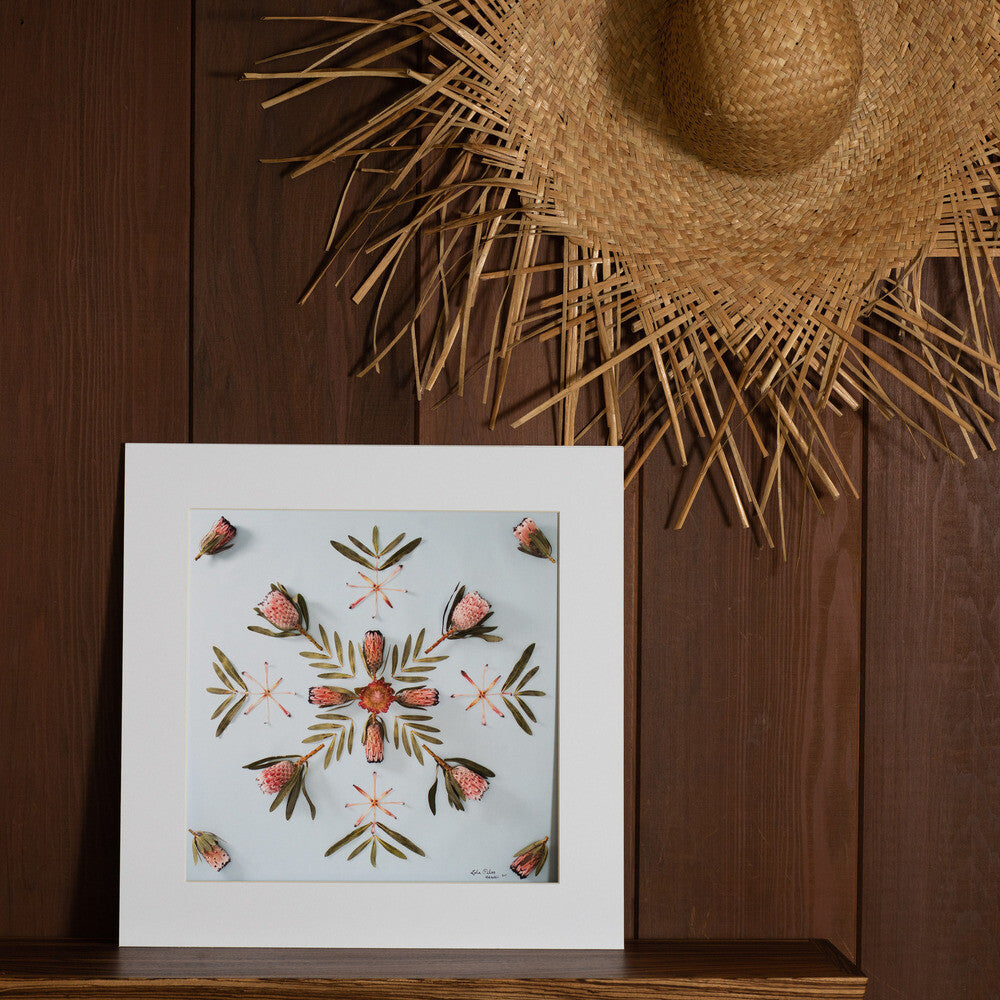 16x16 light blue background photograph with pink and queen protea